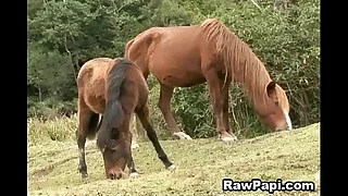 5849 gay bareback porn videos